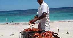 anakao-ocean-lodge-spa-PuTo8CYWO6.jpg 2