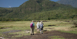 arusha-national-park-day-tour-7f3CuRXMXZ.jpeg 1