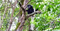 arusha-national-park-day-tour-dhp6wNAW5J.jpeg 3