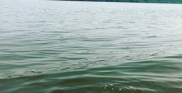 assinie-lodge-qnGSjXXHB7.jpg 1