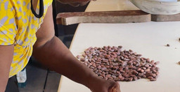 atelier-chocolat-de-la-feve-a-la-tablette-uGCg5.jpg 3