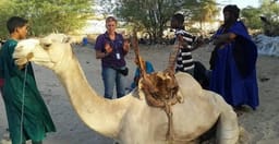 auberge-du-desert-3.jpg 3
