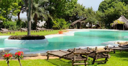 badalodge-restaurant-t7ICD.jpg 1