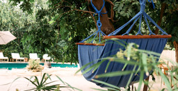 banana-jungle-lodge-1.jpg 1
