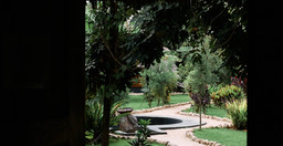 banana-jungle-lodge-3.jpg 3