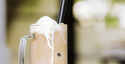 baobab-restaurant-2.jpg 2
