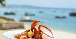 beach-house-restaurant-xOHnFXjO9v.jpg 2