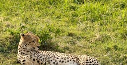 bencia-africa-adventure-safaris-ltd-iRUAG.jpg 2