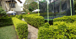 biblica-guest-house-3.jpg 3
