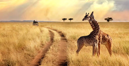 big-five-explorer-u29WDtsykG.jpg 1