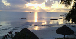 blue-oyster-beach-bar-1.jpg 1