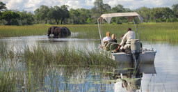 boat-cruise-day-trip-to-chief-s-island-krIJm.jpg 2