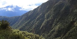 bwindi-gorilla-trekking-uganda-2jHSR.jpg 3