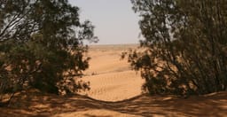 campement-el-biben-1.jpg 1