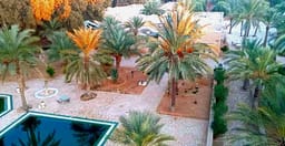 campement-ghilane-1.jpg 1