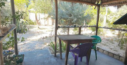 chez-emile-asmF8.jpg 2