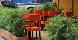 chez_marcene-Nzqz5.jpg 2