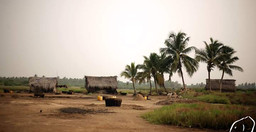 circuit-decouverte-du-benin-AoeBKrKvJB.jpeg 3
