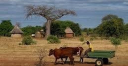city-and-village-guided-tour-n7jO8.jpg 1