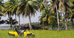 coconuts_village-RtSuY.jpg 2