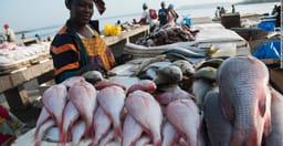 corniche-de-dakar-1.jpg 1