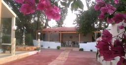 dar-al-mansoura-3.jpg 3