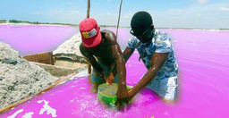 discover-senegal-ghana-12-days-Ex2l1xtlLr.jpg 3