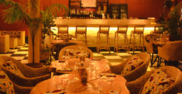 djota-restaurant-1.jpg 2