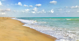 dodoo-lodge-2.jpg 2