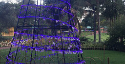 durban-botanic-gardens-2.jpg 2