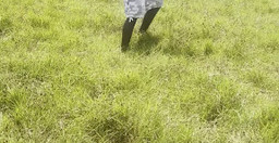 elsamere-conservation-centre-3.jpg 3