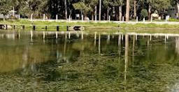 estufa-1.jpg 2