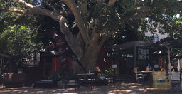freedom-cafe-3.jpg 3