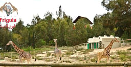 friguia-parc-gVbHh.jpg 3