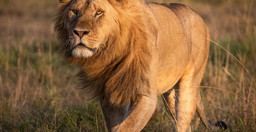 full-day-trip-to-tarangire-national-park-WtCbR.jpg 1