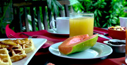 gaias_garden-0zpZP.jpg 3