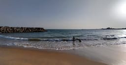 garden-dona-beach.jpg 1