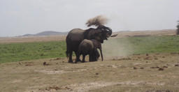 go-exotic-places-adventure-tours-with-best-prices-NyGFV.jpg 2