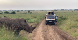 half-day-nairobi-national-park-zfxp7LD7bK.jpeg 3