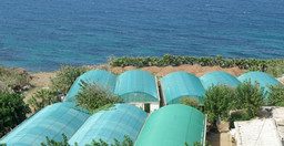 hammamet-hotel.jpg 1