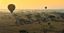 hot-air-balloon-safari-in-masai-mara-kenya-package-LoVmn.jpg 2