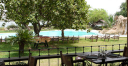 hotel-badalodge-7is5QOqsMu.jpg 1