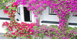 hotel-court-classique-2.jpg 2
