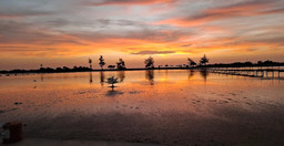 hotel-king-baobab-lodge-B8qvS.jpg 2