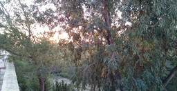 hotel-leklil-3.jpg 3