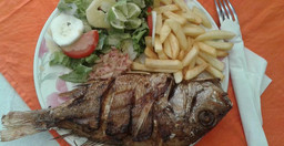 hotel-oasis-fishing-saint-louis-eb1Pj3jLvm.jpg 3