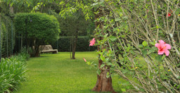 house-of-waine-3.jpg 3