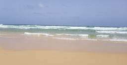 kakatar-4.jpg 3