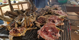 kalatikare.jpg 1