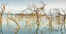 kembu-cottages-1.jpg 1